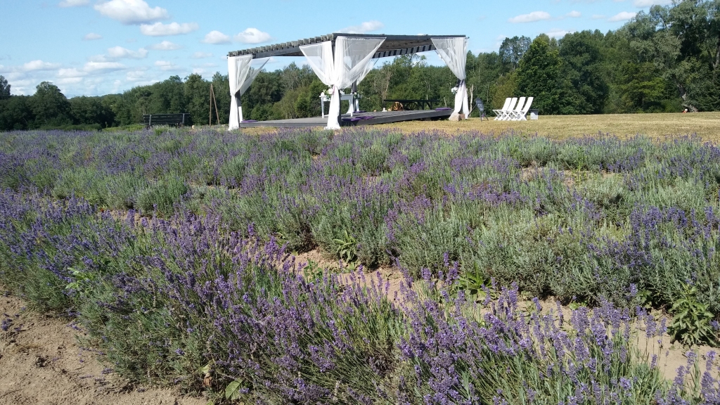 Autors: Pārsla Konrāde