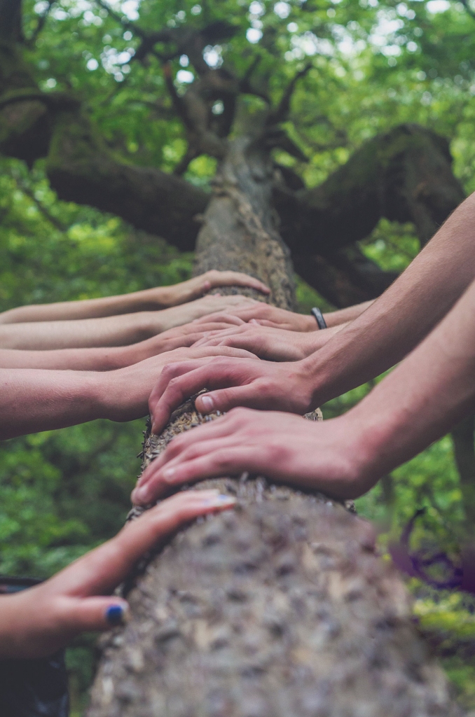 Autors: “Unsplash.com