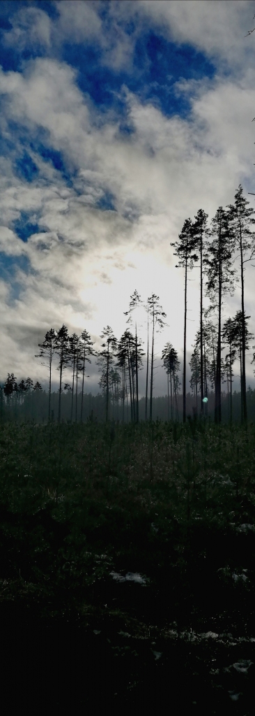 Tirzas pagasta bibliotēkas vadītāja Agrita Petrovska stāsta, ka Agneses Markovas fotoizstādē vērojamas tirzmaliešiem pazīstamas vietas. “Apmeklētāji uzliela Agneses veikumu, atpazīstot viņu kā tirzmalieti. Un vēl kā iesācēju fotografēšanas jomā iedrošina par uzdrīkstēšanos vispār sākt un atrādīt skatītājiem fotogrāfijas no sava skatpunkta,” viņa saka.         
Autors: Agnese Markova