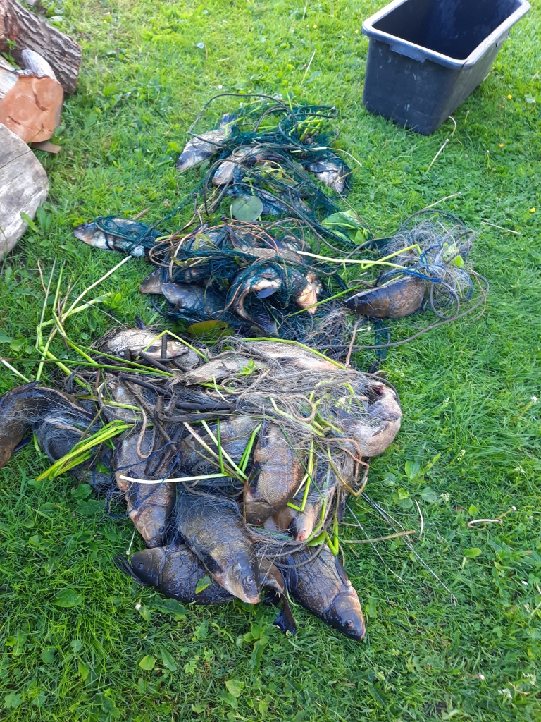 Autors: no “Dzirksteles” arhīva