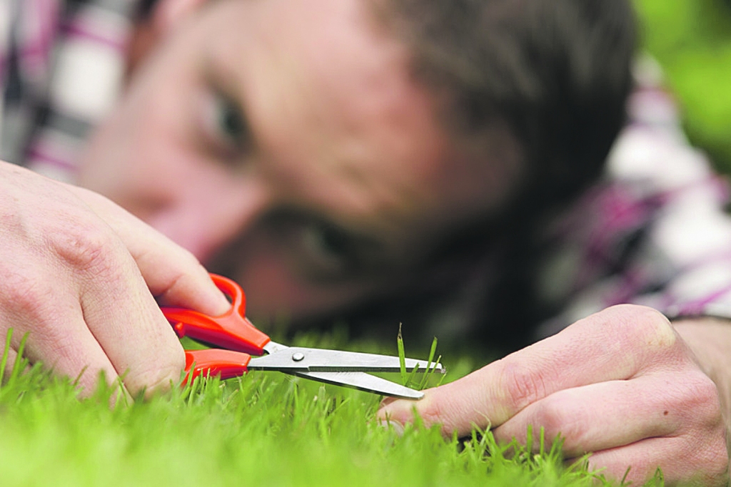 Perfekcionisms var veidoties socializācijas posmā (no 10 līdz 25 gadiem) pēc traumatiskas pieredzes, kad nepieņem sabiedrība.
Autors: no “puaro.lv”