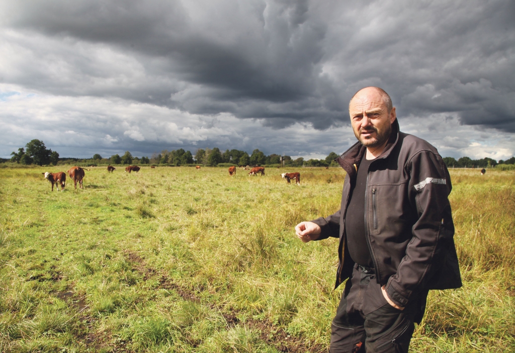 Palienes pļavu ganībām teritorija tiek iežogota ar elektrisko ganu, tomēr vairāk nekā 100 liellopu ganāmpulkam tā ir ļoti plaša. Lopi var ēst, kādu zāli un cik vēlas, jo botāniskais sastāvs ir daudzveidīgs.  
Autors: Gatis Bogdanovs