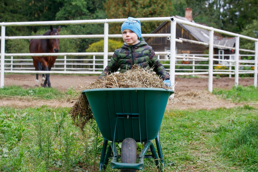 Autors: publicitātes foto