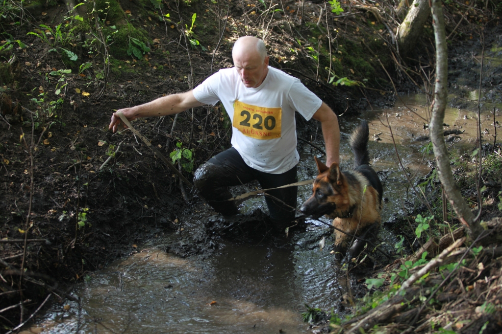 Autors: Gatis Bogdanovs