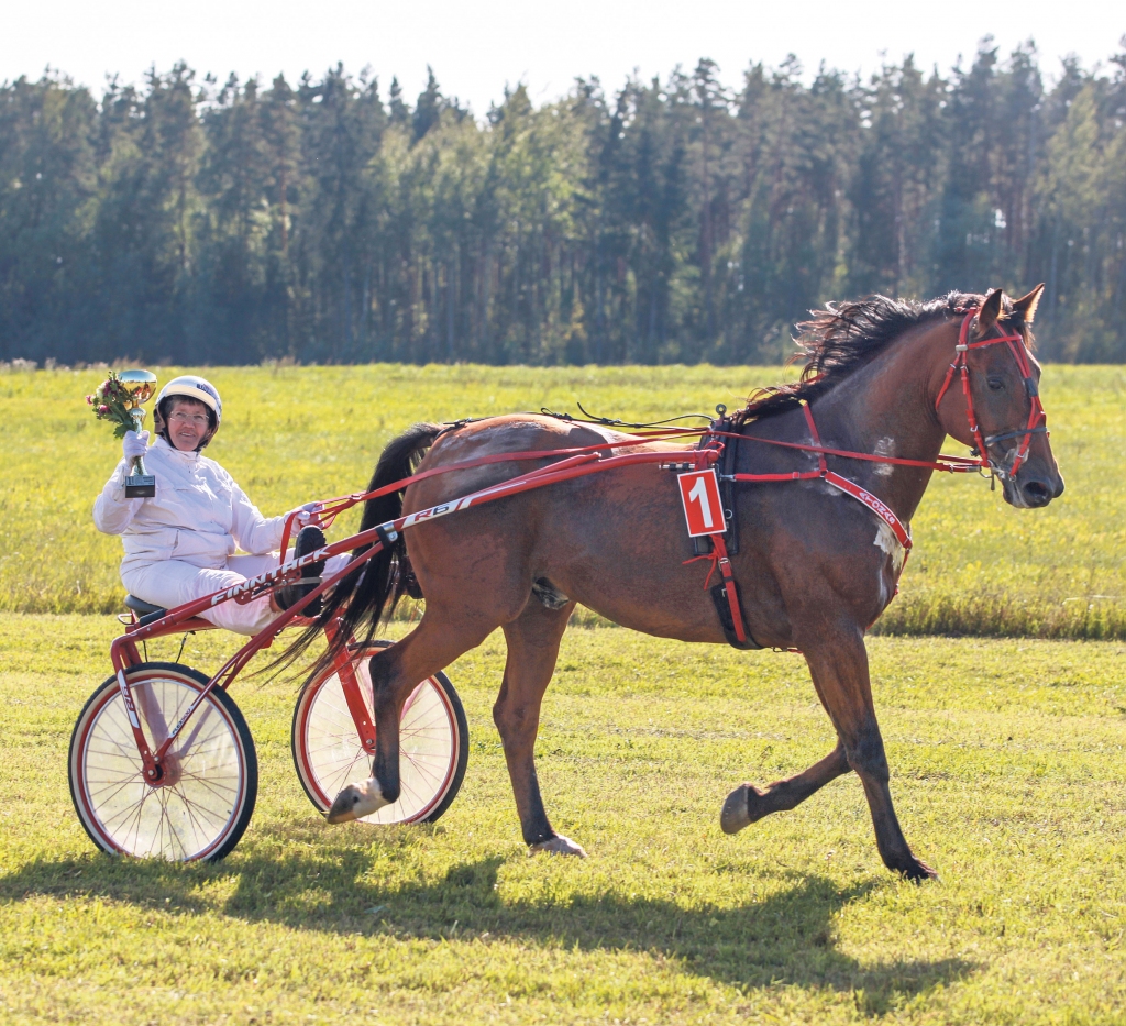 Pagājušajā svētdienā Lizuma pagasta Velēnā uz sertificētā zirgu rikšošanas skrejceļa notika 5 gadu jubilejas pasākums “Beķeru kauss 2021” Visus šos gados tas pastāv, pateicoties zemnieku saimniecības “Augstkalni” īpašnieces Ineses Bergas un viņas ģimenes locekļu entuziasmam. Šoreiz sacensībās piedalījās 22 dalībnieki no Latvijas un Igaunijas. Attēlā Inese Berga un viņas uzticamais pārinieks Atonas ar godam izcīnīto Beķeru kausu.
Autors: Gatis Bogdanovs