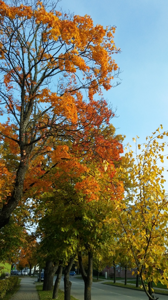 Autors: Pārsla Konrāde