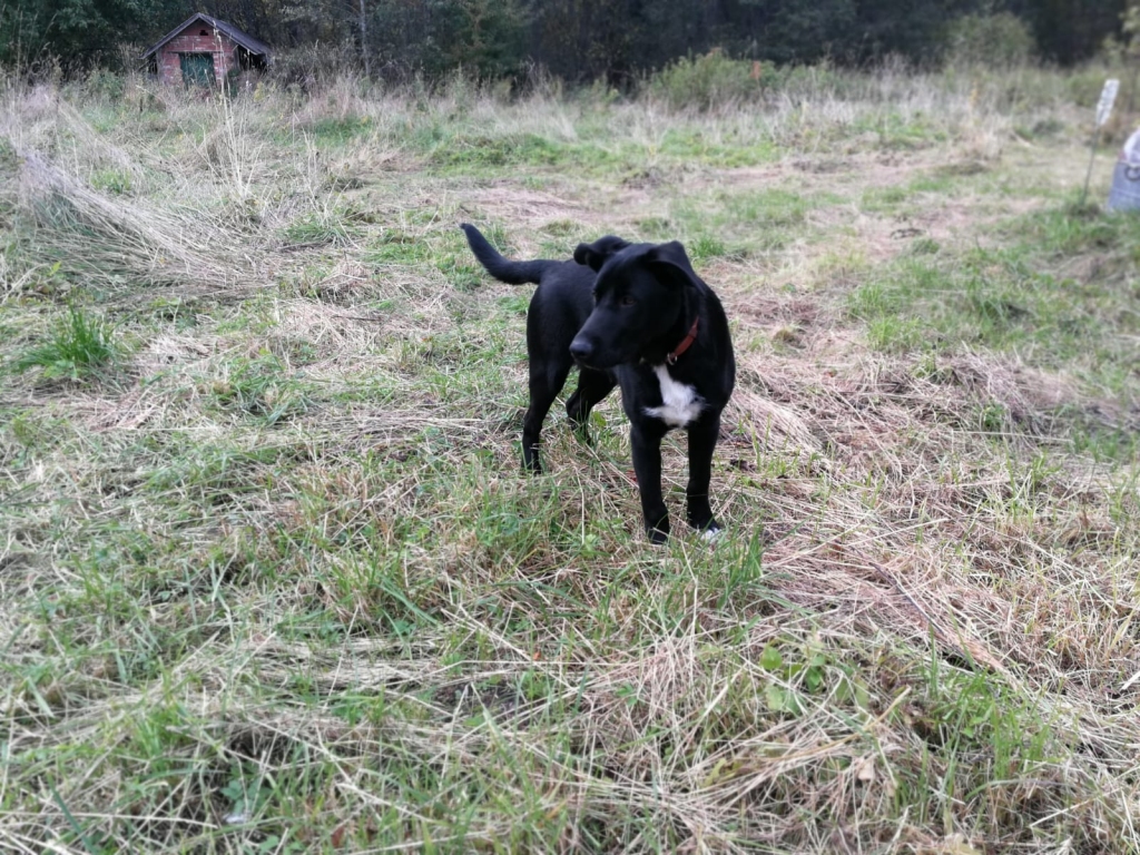 Autors: no privātā arhīva