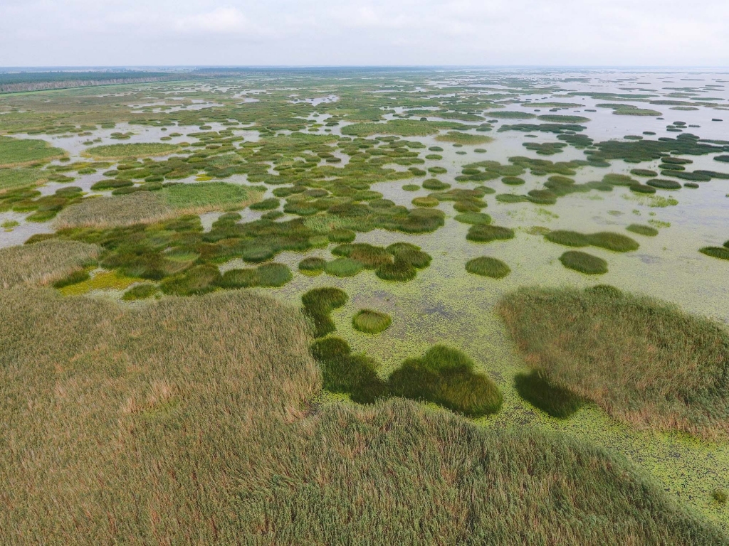 Lubāns.
Autors: Dagnis Vasiļevskis (DAP)
