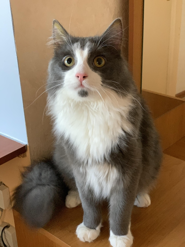 Autors: no privātā arhīva