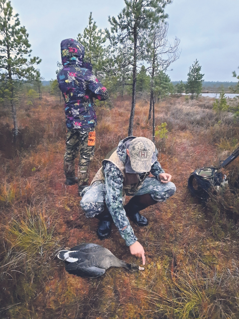Pieredzējuši mednieki var noteikt arī zoss vecumu.
Autors: Gatis Bogdanovs