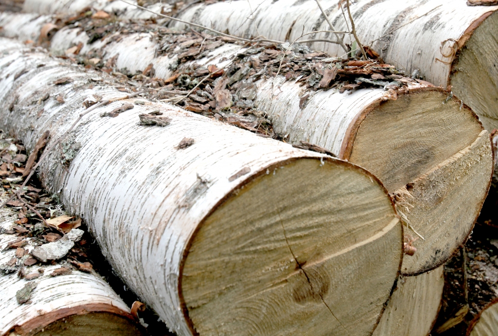 Autors: ilustratīvs foto no 