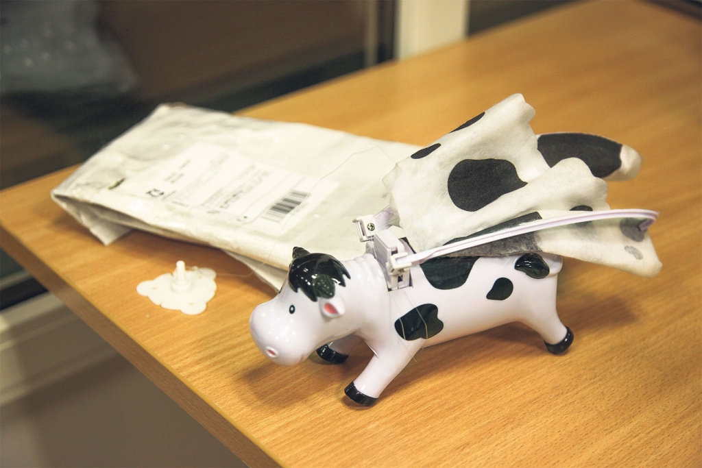 Gotiņa ar spārniem – dāvana kolekcionārei.
Autors: Gatis Bogdanovs