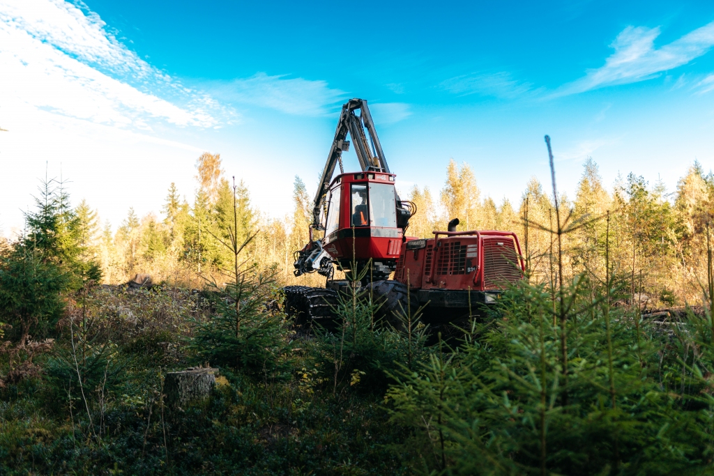 Autors: no personīgā arhīva