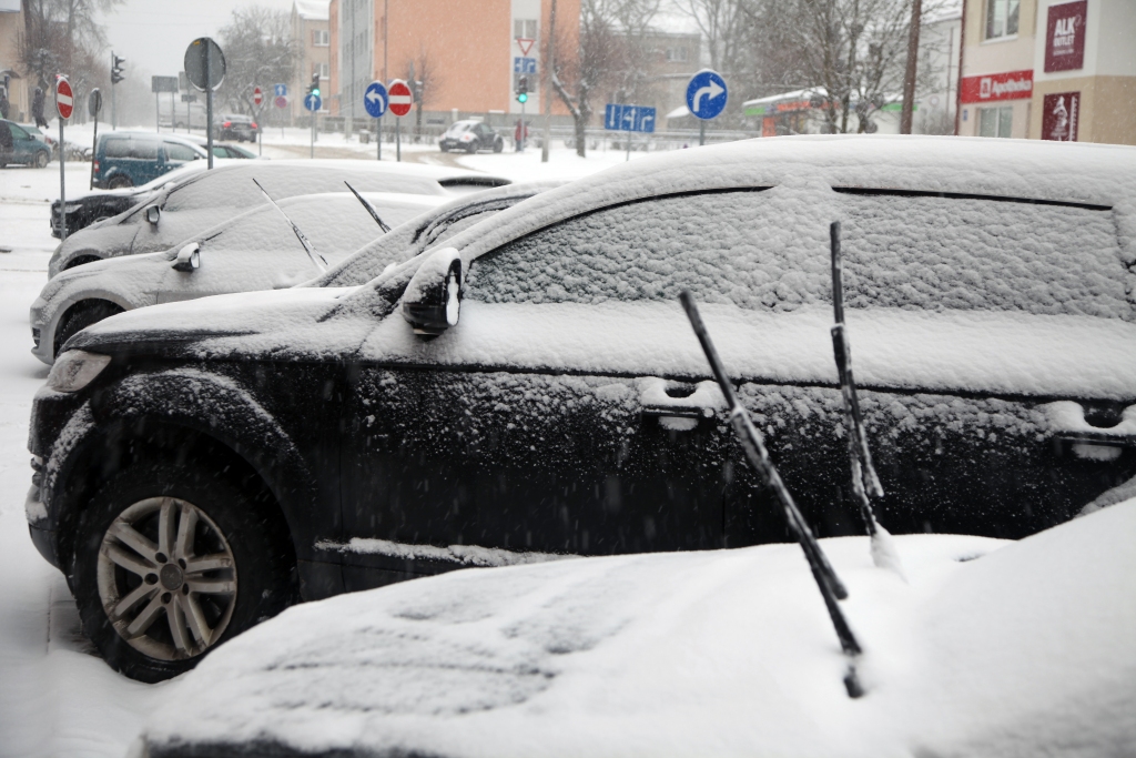 Autors: Gatis Bogdanovs