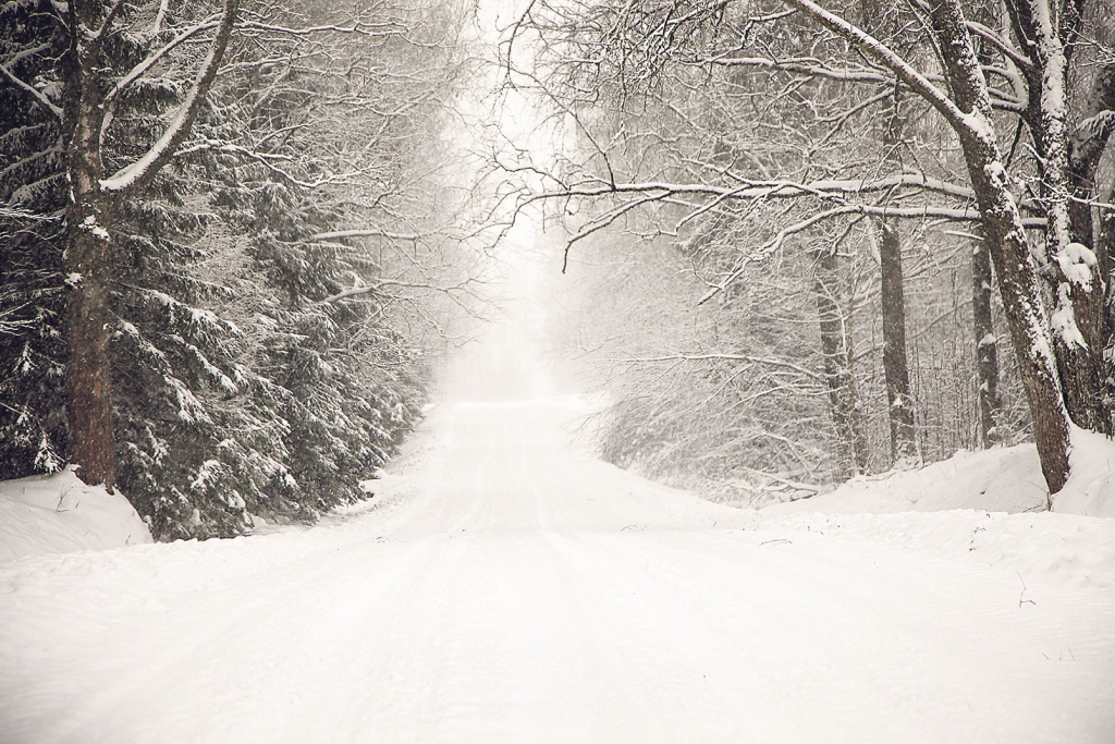 Autors: Gatis Bogdanovs
