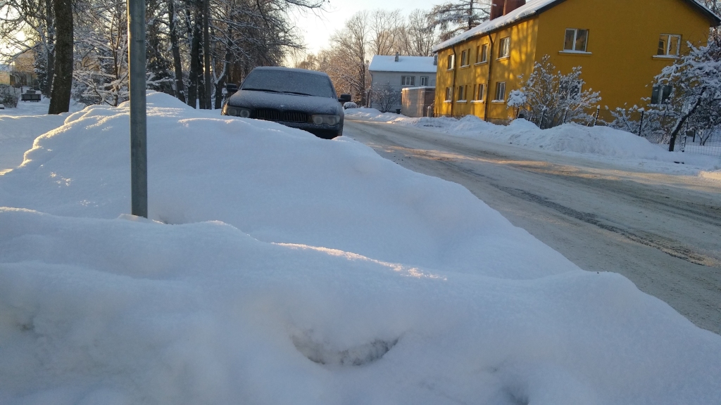 Autors: Pārsla Konrāde