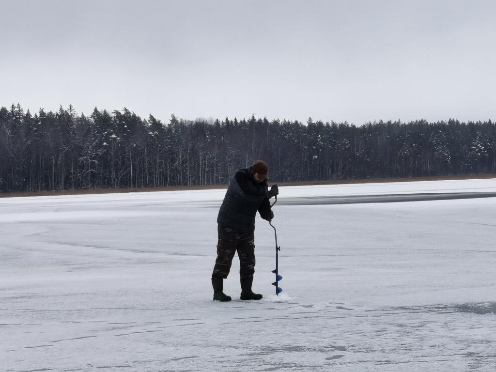 Jaungulbenietis Alvis Makejevs sestdien uz ledus šoziem uzkāpis pirmo reizi. Pirmie izvilkti mazi asarīši. Viņš atzīst, ka ledus kārta nav tik bieza, kā bija cerēts pēc vairākām ļoti aukstajām dienām. “Pie krasta tie ir pieci centimetri. Uzsniga pirmais sniegs, nepaspēja īsti aizsalt viss,” saka A.Makejevs. Tālāk ezerā iet ir bīstami, jo ledus izturība ir neprognozējama.
Autors: Viktorija Slavinska-Kostigova