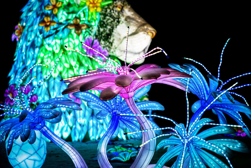 Autors: Publicitātes foto.