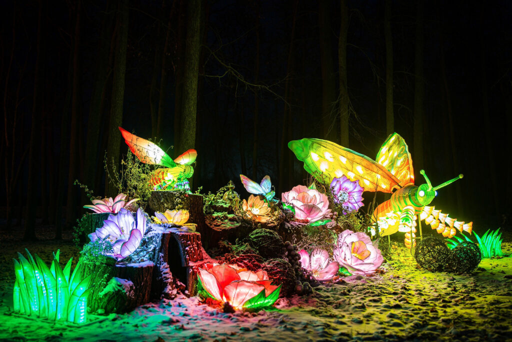 Autors: Publicitātes foto.