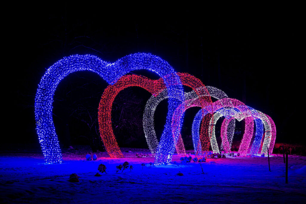 Autors: Publicitātes foto.