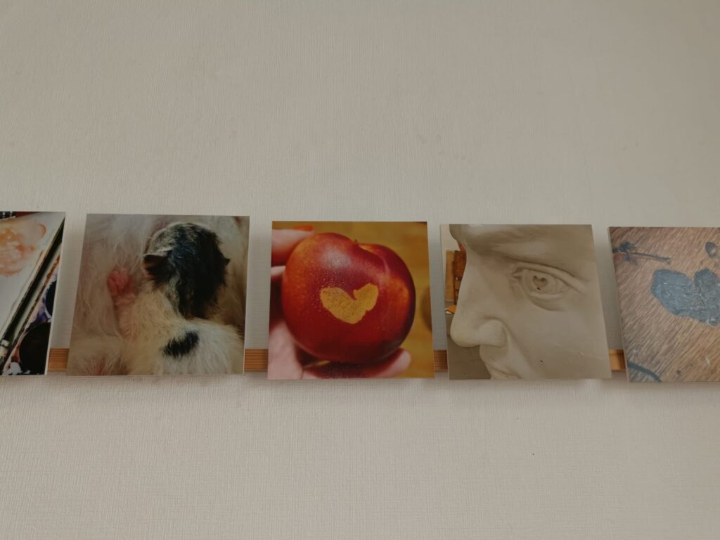 Autors: Foto: Pārsla Konrāde