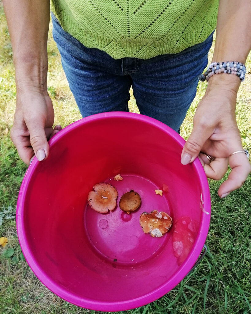 Autors: Foto: Edijs Frīdenbergs