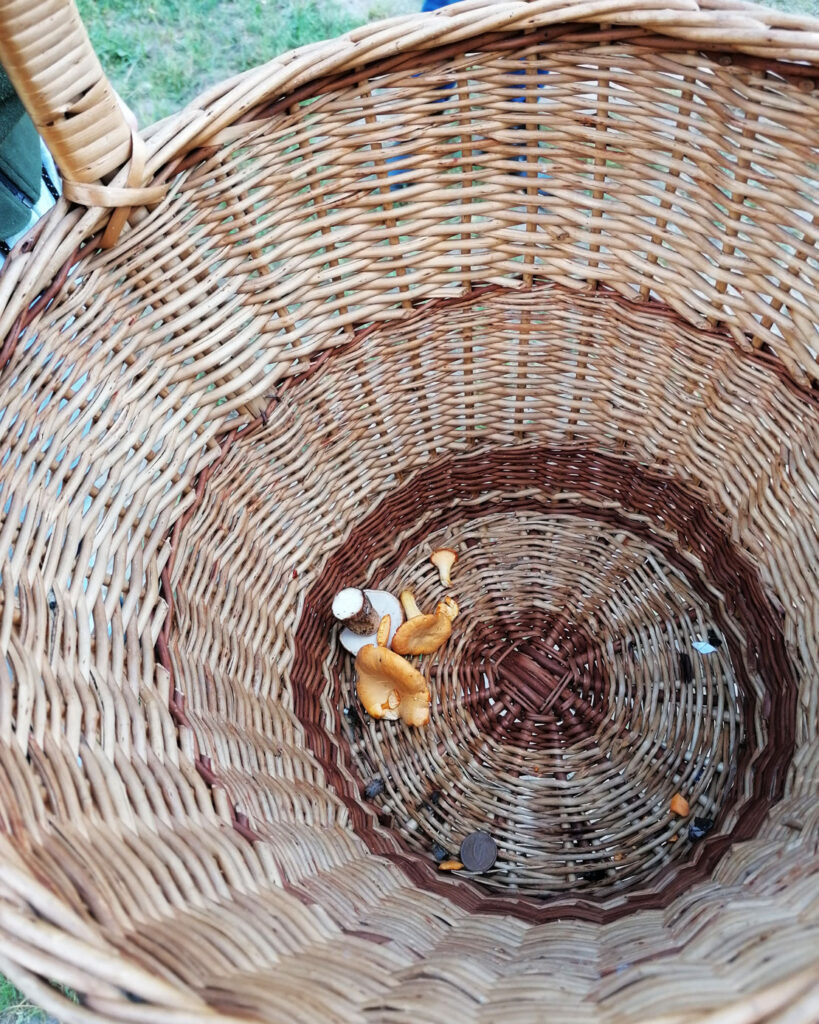 Autors: Foto: Edijs Frīdenbergs