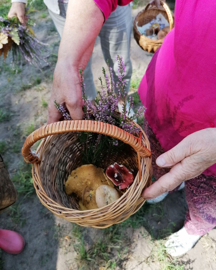 Autors: Foto: Edijs Frīdenbergs