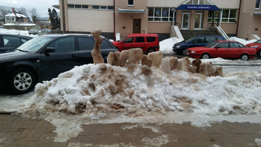 Autors: Pārsla Konrāde