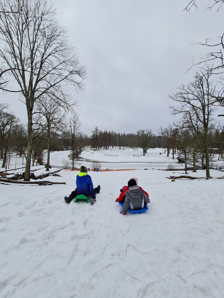 Autors: Foto: no organizatoru arhīva.
