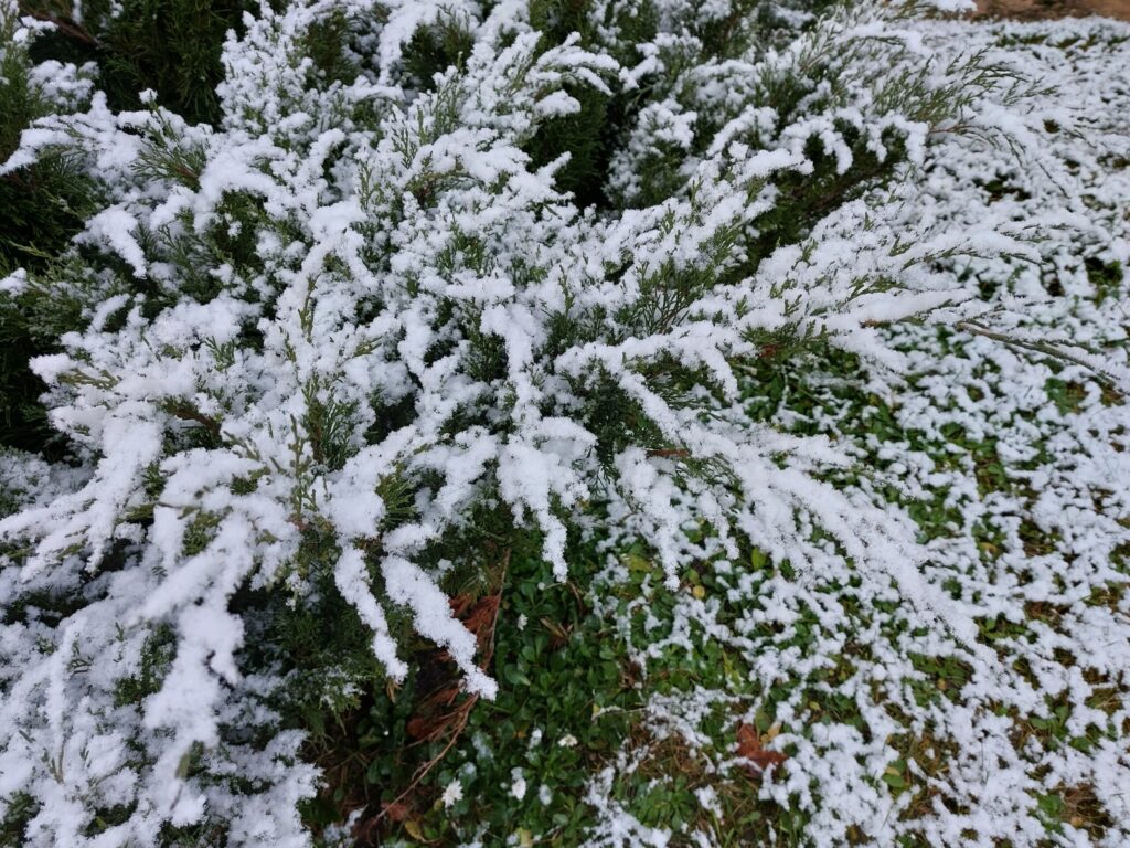 Autors: Foto: Pārsla Konrāde