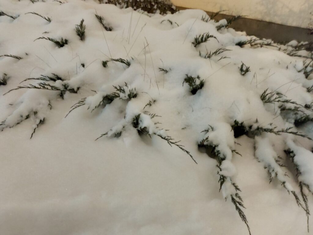 Autors: Foto: Pārsla Konrāde