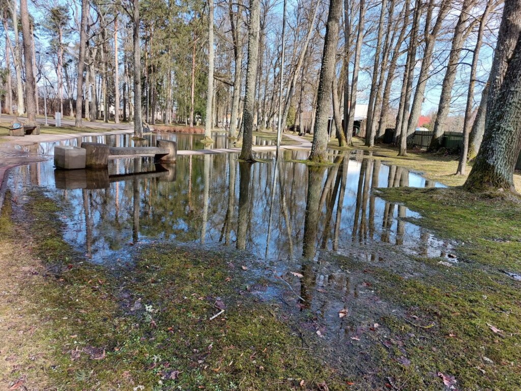 Autors: Foto: Pārsla Konrāde