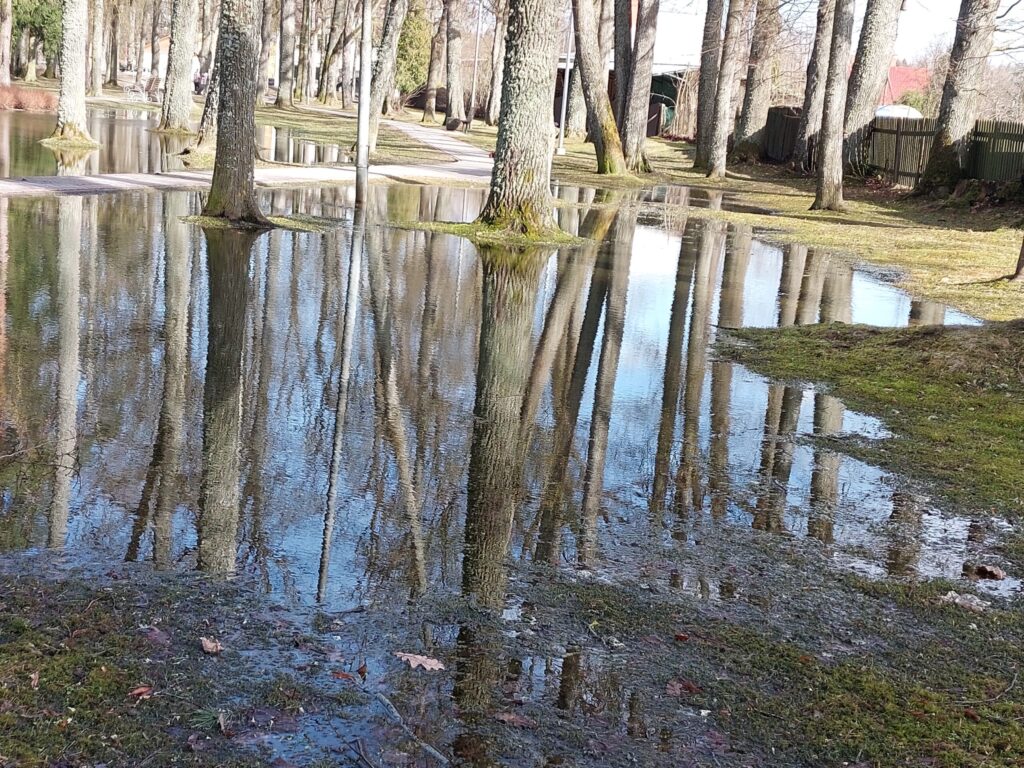 Autors: Foto: Pārsla Konrāde