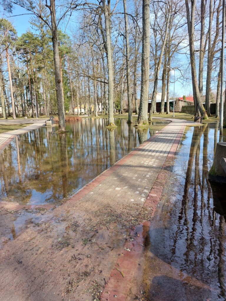 Autors: Foto: Pārsla Konrāde