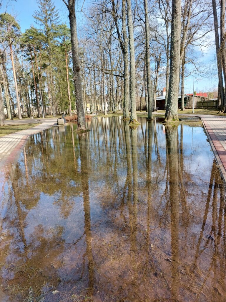 Autors: Foto: Pārsla Konrāde