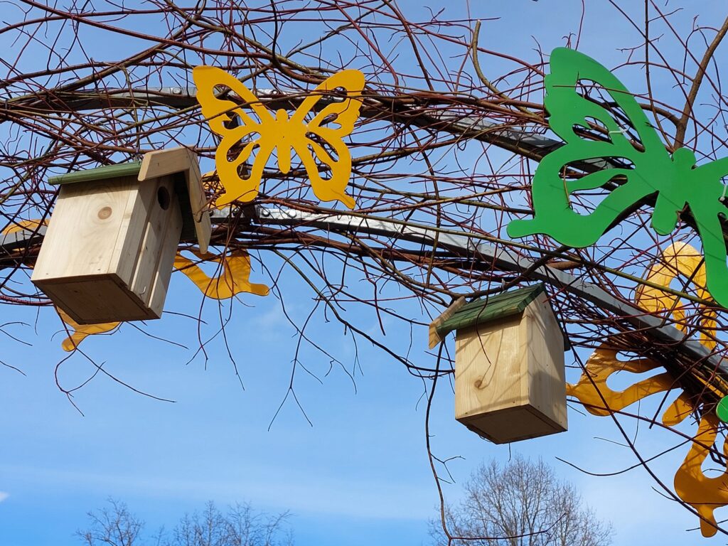 Autors: Foto: Pārsla Konrāde