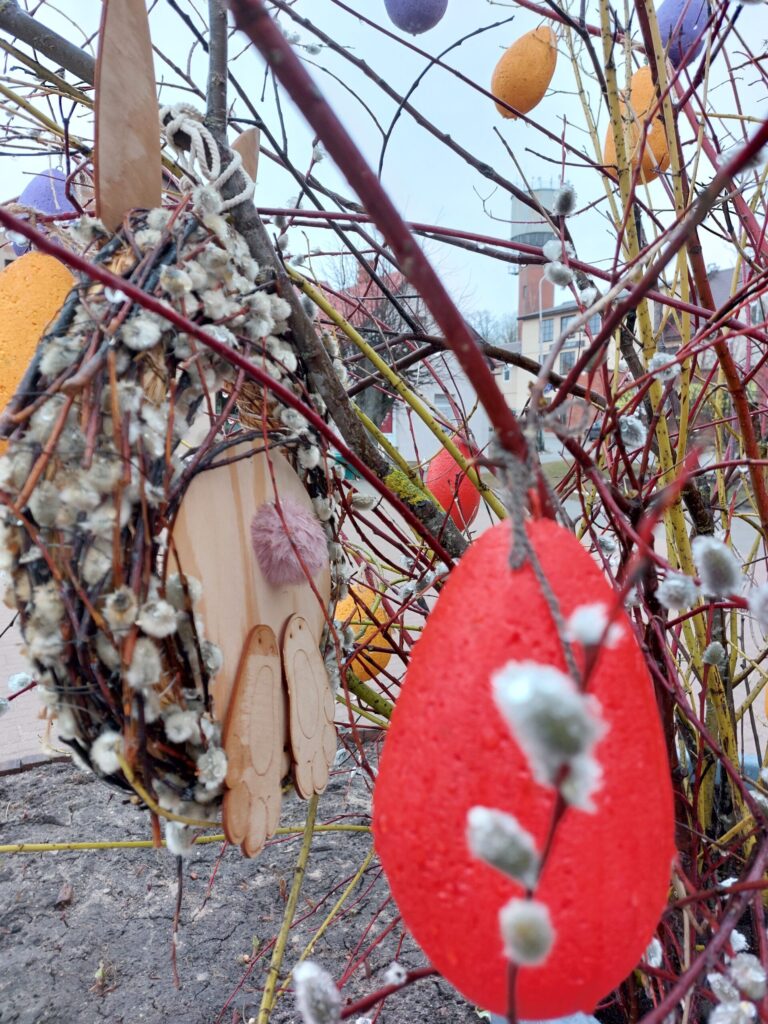 Autors: Foto: Pārsla Konrāde