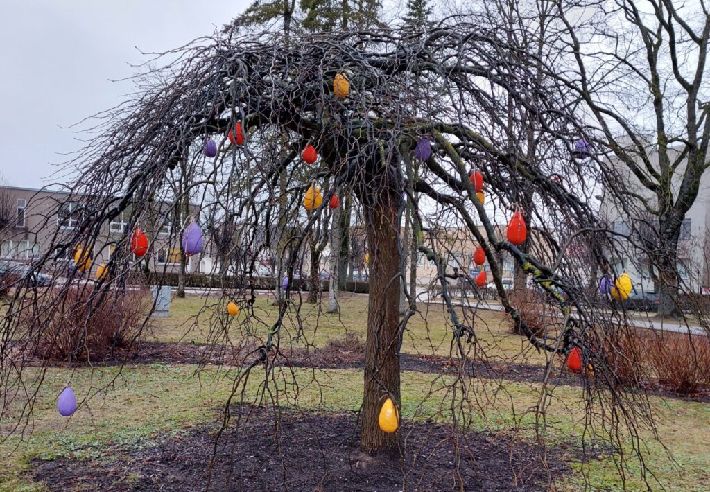 Autors: Foto: Pārsla Konrāde