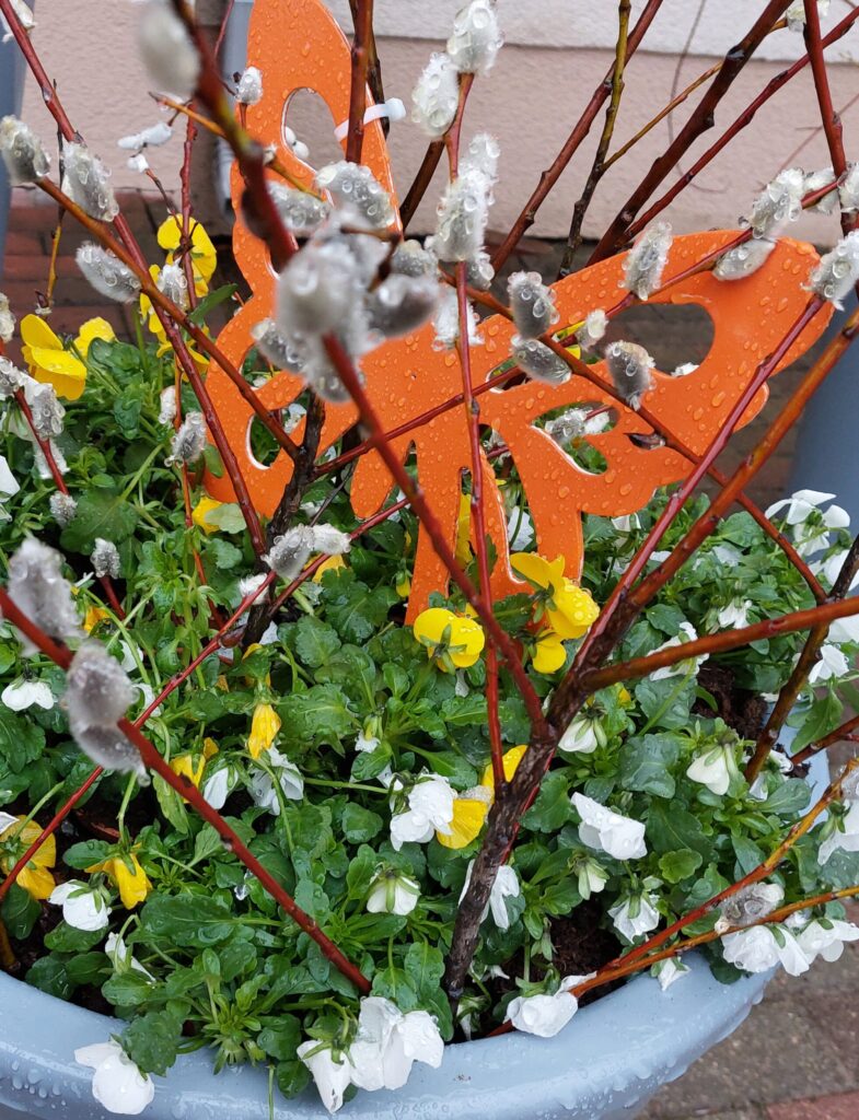 Autors: Foto: Pārsla Konrāde