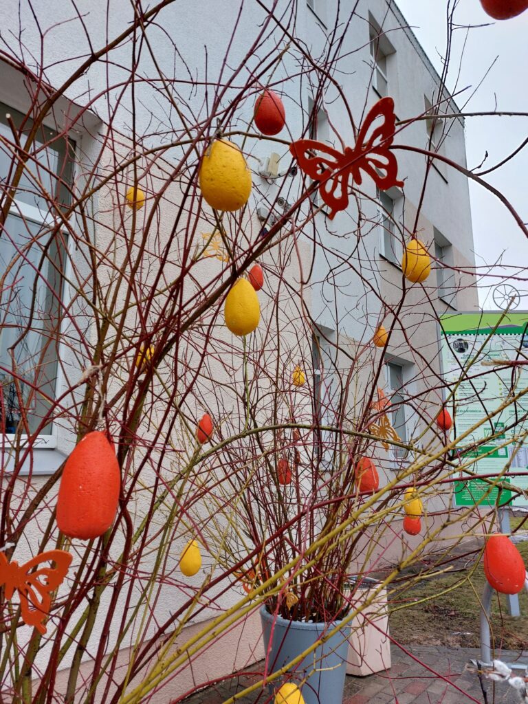 Autors: Foto: Pārsla Konrāde