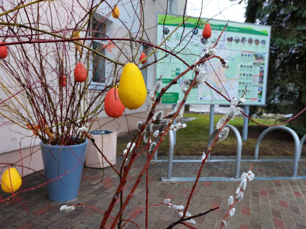 Autors: Foto: Pārsla Konrāde