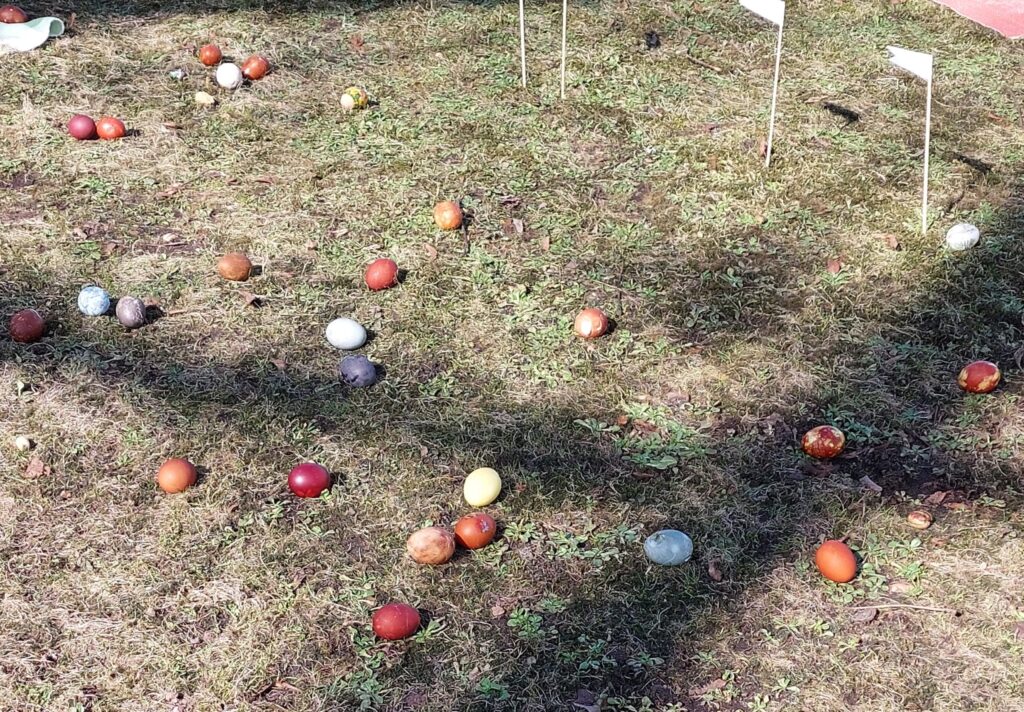 Autors: Foto: Pārsla Konrāde