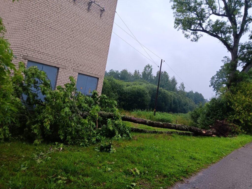 Rankas pagasts
Autors: Aiva Vasiļjeva