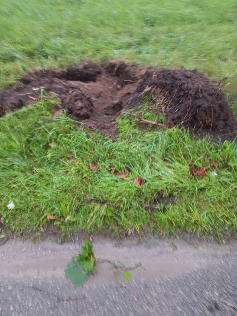 Rankas pagasts
Autors: Aiva Vasiļjeva