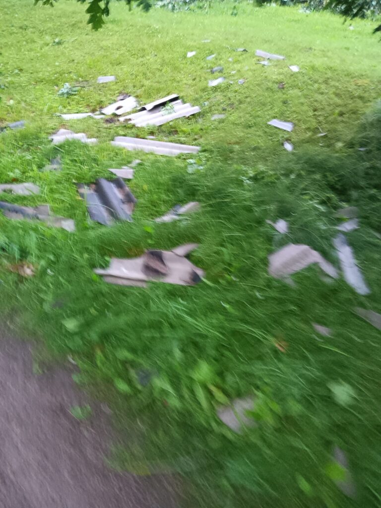 Rankas pagasts
Autors: Aiva Vasiļjeva