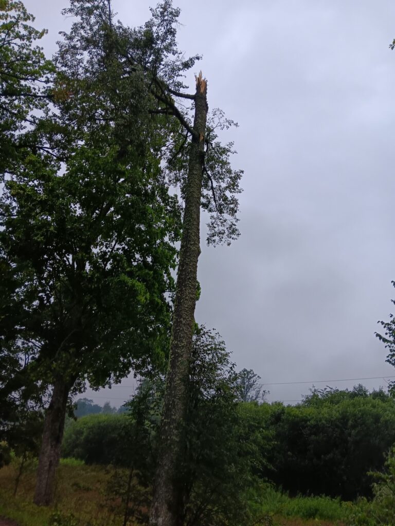 Rankas pagasts
Autors: Aiva Vasiļjeva