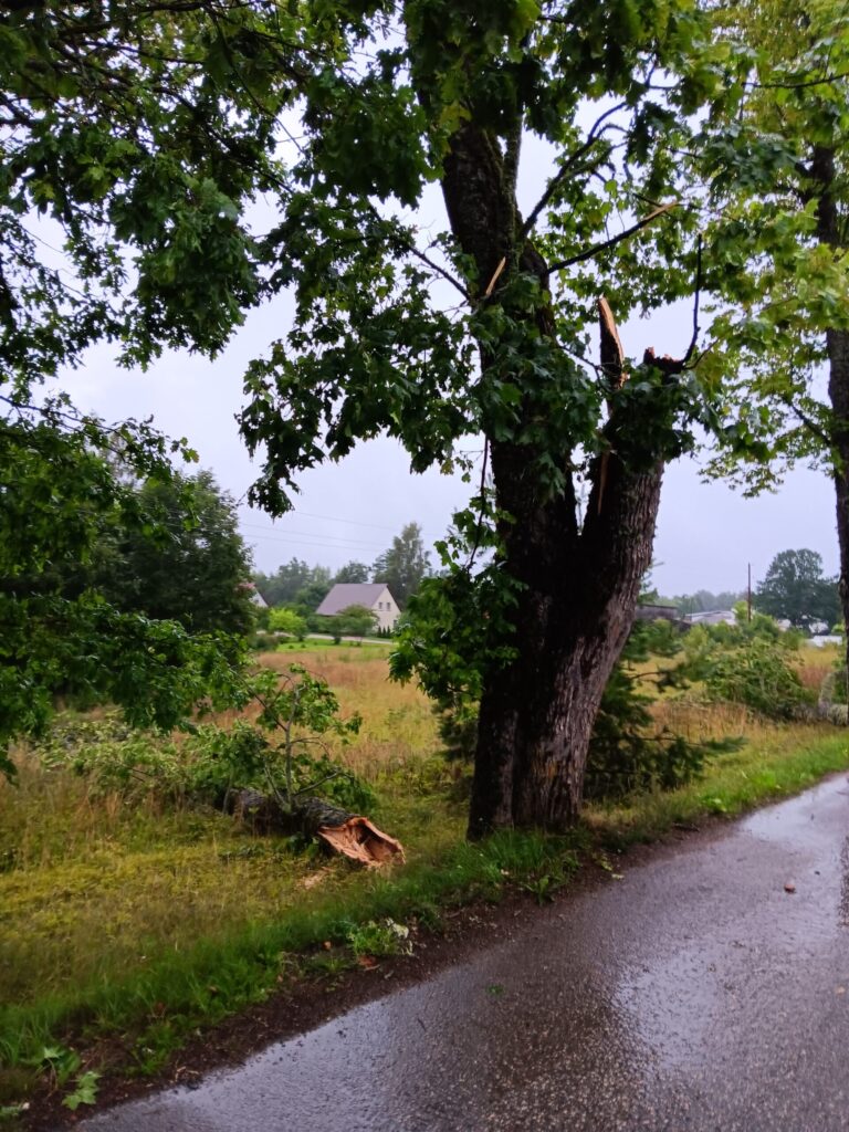 Rankas pagasts
Autors: Aiva Vasiļjeva