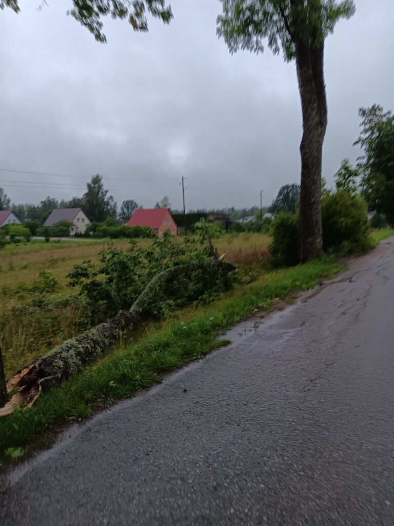 Rankas pagasts
Autors: Aiva Vasiļjeva