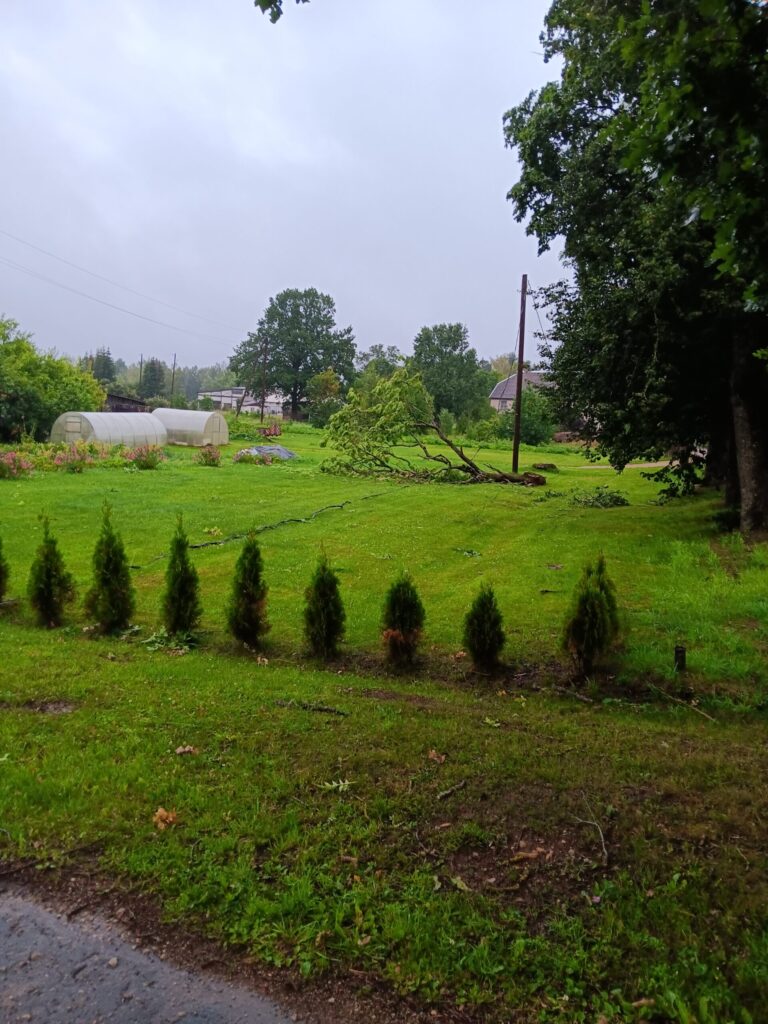 Rankas pagasts
Autors: Aiva Vasiļjeva